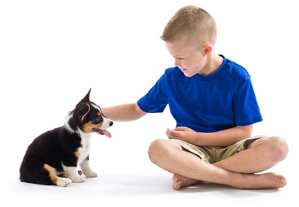 AAHA Accreditated Animal Hospital in Stone Mountain: Boy Petting Puppy